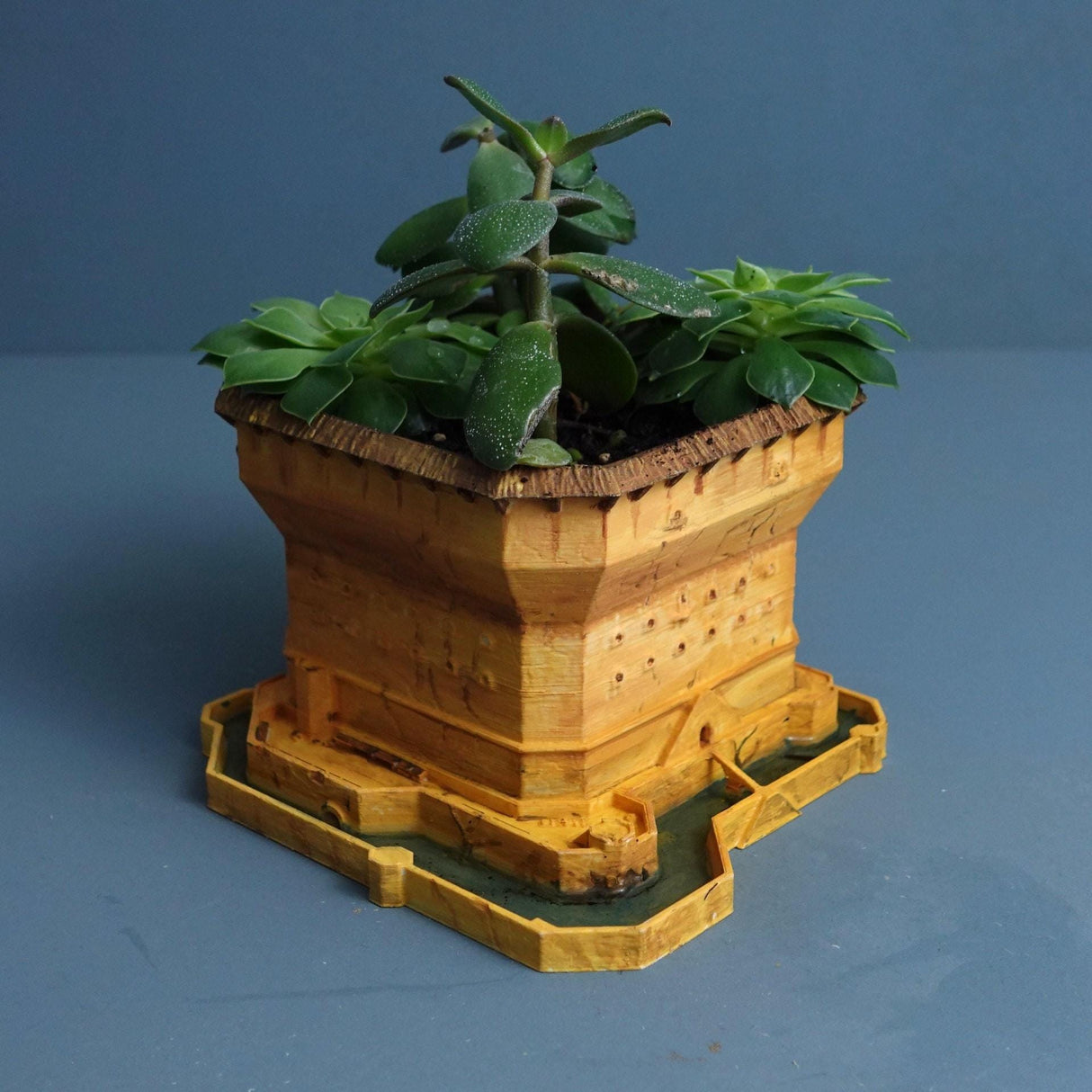 Gazzaladra - Hand Painted Castle Planter with Draining Moat Decor | Dinner Table | Party | Living Room | Bedroom - LV3DPrinting