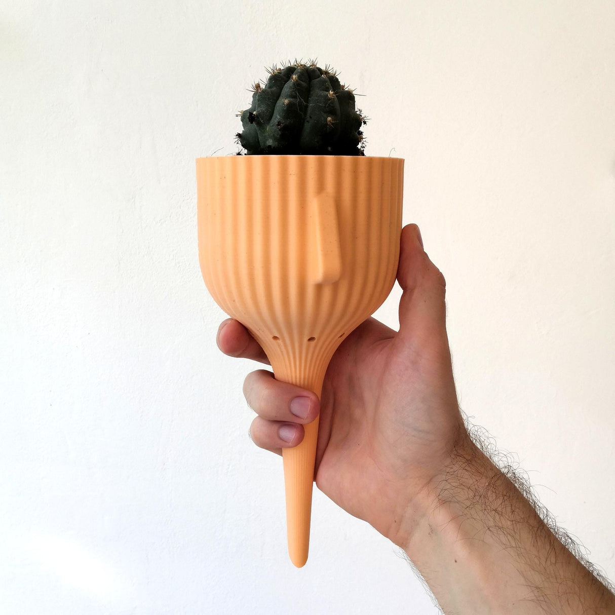 Gazzaladra Elevated Pot & Garden Planter Decor for Dinner Table, Party, Living Room, Bedroom - LV3DPrinting