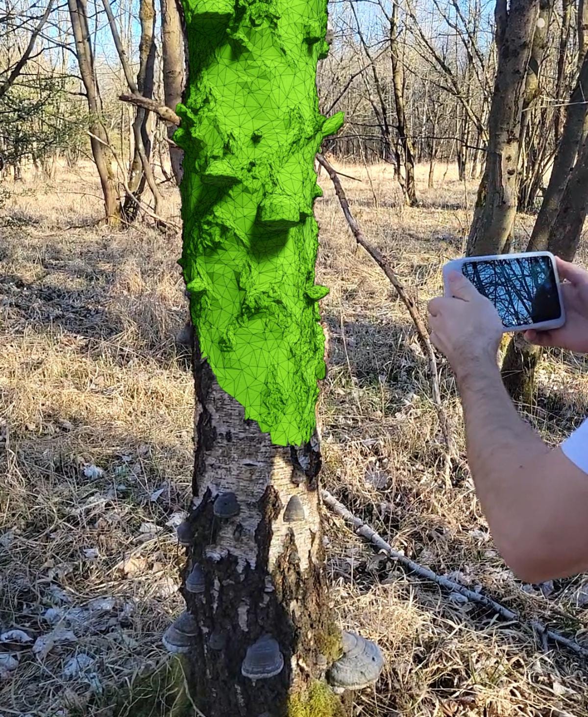 Gazzaladra Betula Pendula Tree Trunk Vase, Realistic Birch Vase with Tinder Mushrooms, Nature Inspired Sculptural Home Decor - LV3DPrinting