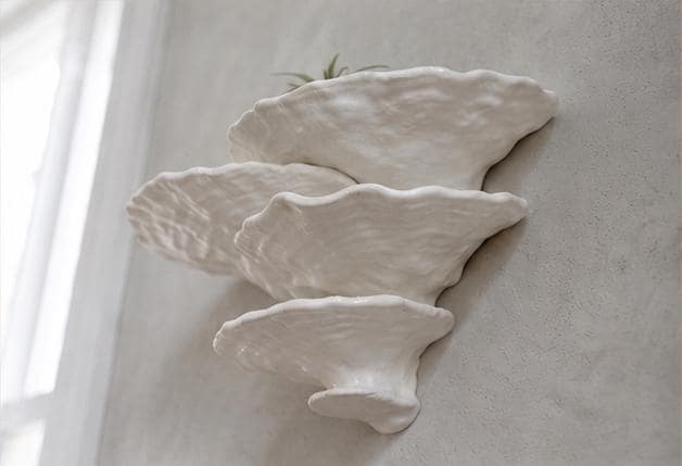 Gazzaladra Unique Wall shelf Interior Decor “Ostrea Fungus” for Party, Living Room, Bedroom