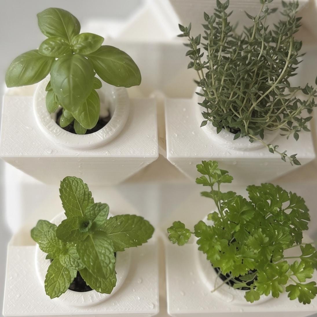 LV 3D Modular Wall Mounted Hydroponic System | Expandable Indoor Herb Garden | Magnetic Vertical Planter Kit