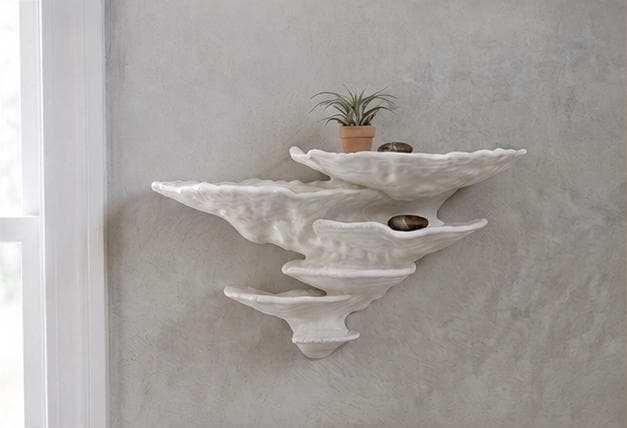 Gazzaladra Unique Wall shelf Interior Decor “Ostrea Fungus” for Party, Living Room, Bedroom