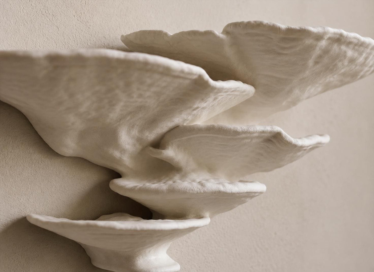 Gazzaladra Unique Wall shelf Interior Decor “Ostrea Fungus” for Party, Living Room, Bedroom