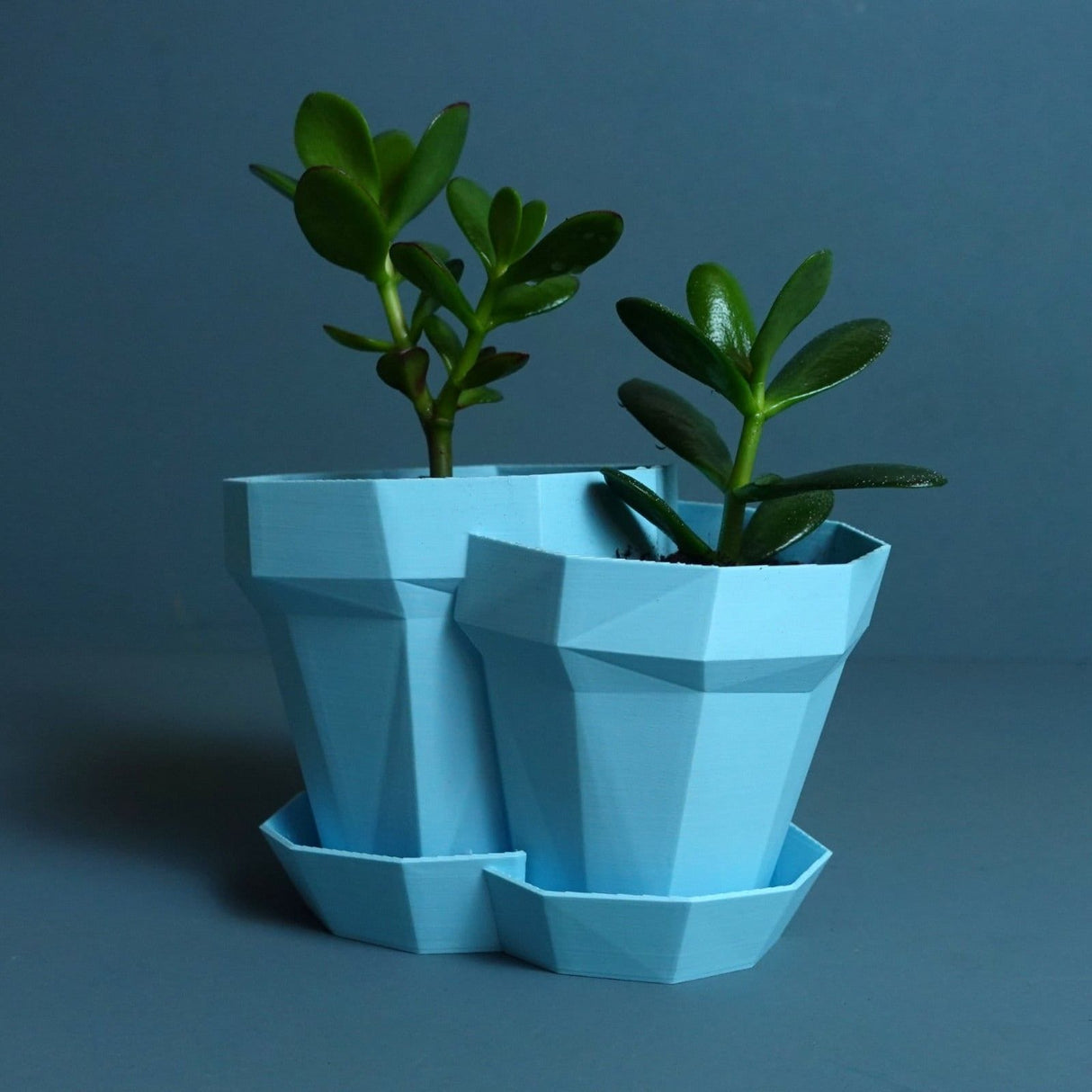 Gazzaladra Double Planter Glitch Modern Indoor & Outdoor Wall Planter, Wall Hanging Plant, Wall Decor, Home Decor - LV3DPrinting