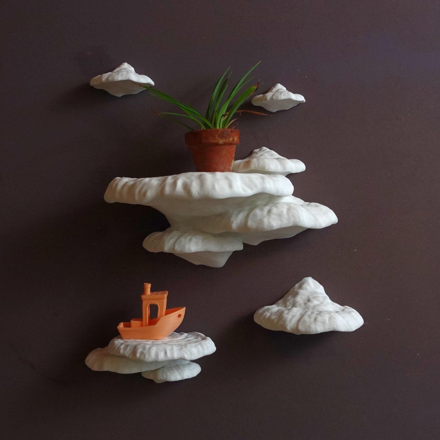 Gazzaladra Mushroom Shelf