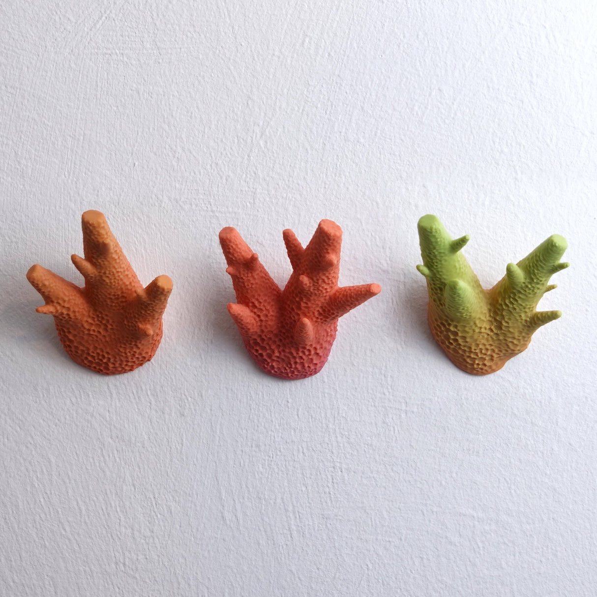 Set of three - Gazzaladra Caliendrum Coral Wall Hooks | Coat Hanger |  Wall Hooks | Coat Rack Wall Mount