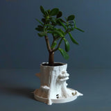 Gazzaladra Sylvatica Tree Planter Decor for Dinner Table, Party, Living Room, Bedroom - LV3DPrinting