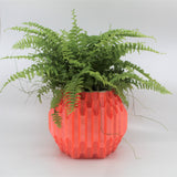 3DPPA Hegaxon Overload Self-Watering Planter /Planter Decor for Dinner Table, Party, Living Room, Bedroom - LV3DPrinting