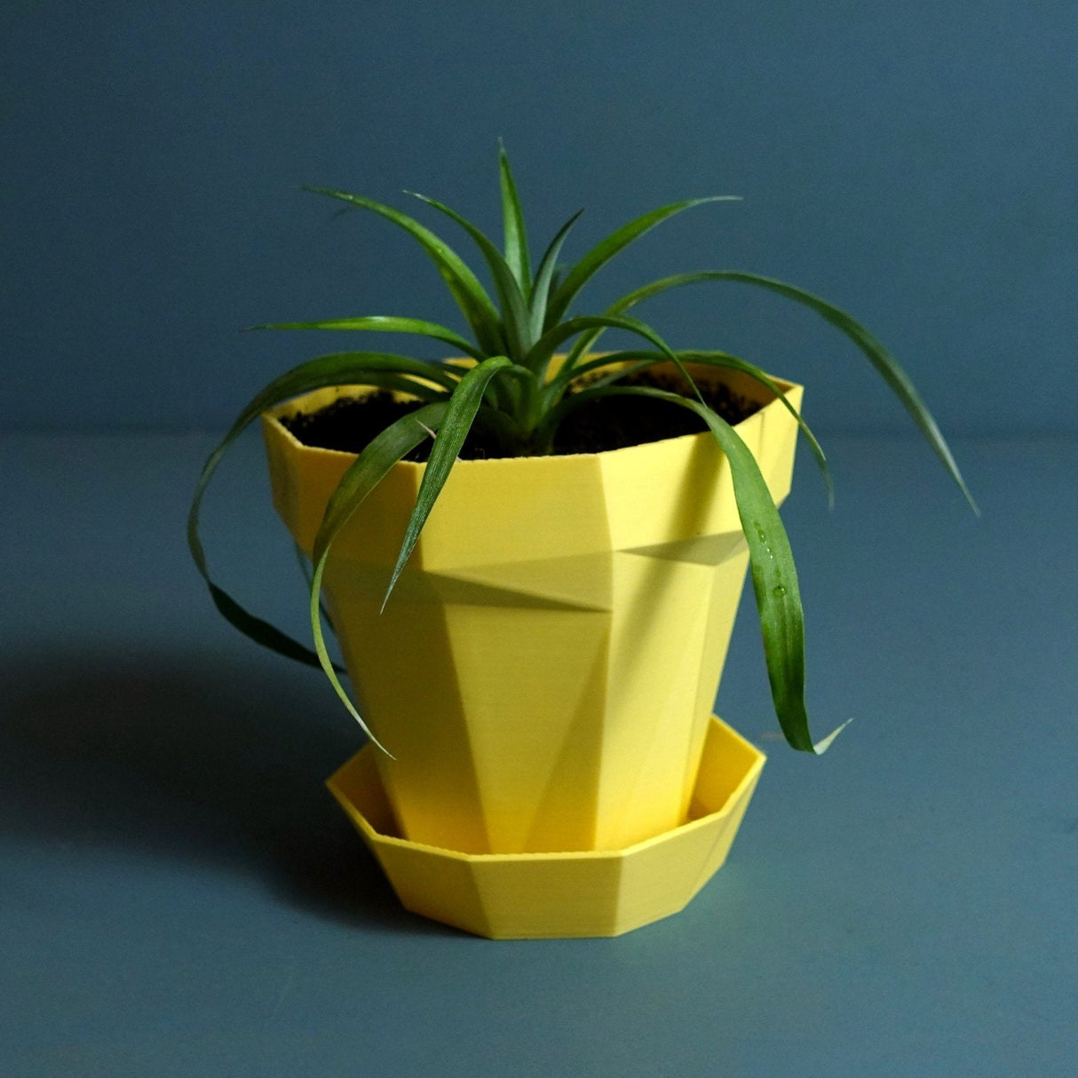 Gazzaladra Planter Glitch Modern Indoor & Outdoor Wall Planter, Wall Hanging Plant, Wall Decor, Home Decor - LV3DPrinting