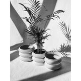 Creaserra Omega Planter Decor for Weddings, Dinner Table, Party, Living Room, Bedroom - LV3DPrinting