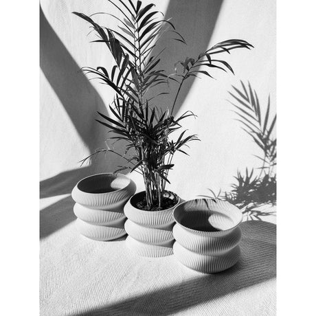 Creaserra Omega Planter Decor for Weddings, Dinner Table, Party, Living Room, Bedroom - LV3DPrinting