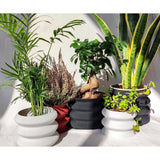 Creaserra Omega Planter Decor for Weddings, Dinner Table, Party, Living Room, Bedroom - LV3DPrinting