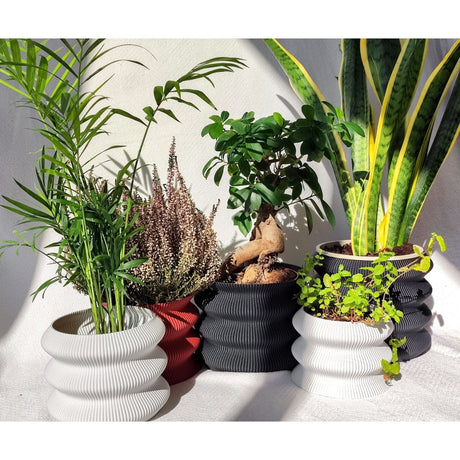 Creaserra Omega Planter Decor for Weddings, Dinner Table, Party, Living Room, Bedroom - LV3DPrinting