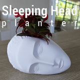 3D Shook Sleeping Muse Planter for Weddings, Dinner Table, Party, Living Room, Bedroom | All Sizes & Colors!!!