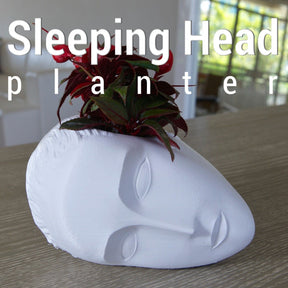 3D Shook Sleeping Muse Planter for Weddings, Dinner Table, Party, Living Room, Bedroom | All Sizes & Colors!!! - LV3DPrinting