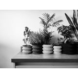 Creaserra Omega Planter Decor for Weddings, Dinner Table, Party, Living Room, Bedroom - LV3DPrinting