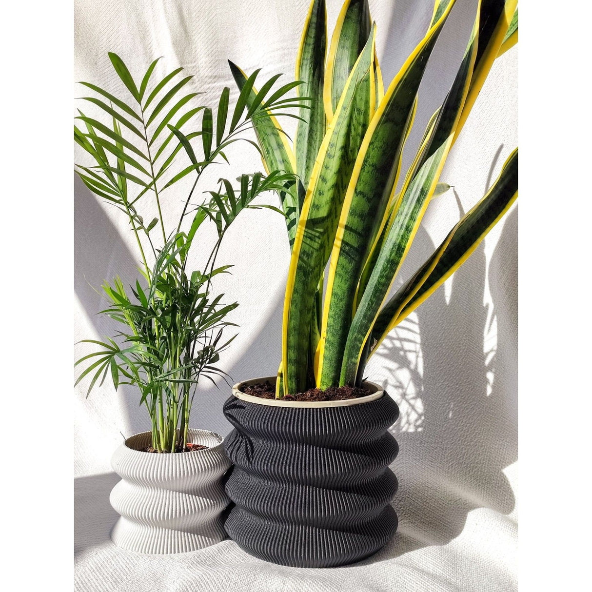 Creaserra Omega Planter Decor for Weddings, Dinner Table, Party, Living Room, Bedroom - LV3DPrinting