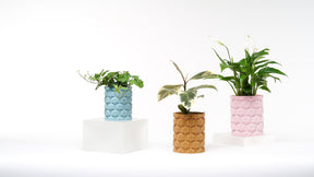 Kowafat Modern Cubic Vase – Minimalist Sculptural Decor for Weddings, Dining Table, Living Room & Bedroom | Geometric Art Vase - LV3DPrinting