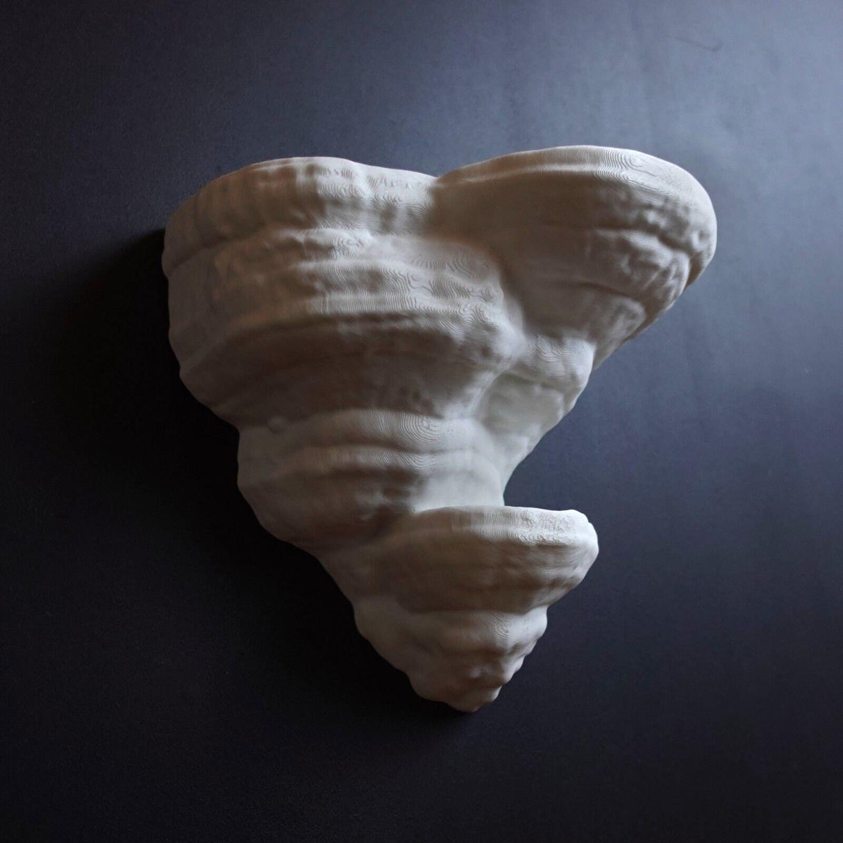 Gazzaladra Unique Wall shelf Interior Decor Fomentarius Fungus for Party, Living Room, Bedroom - LV3DPrinting