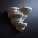 Gazzaladra Unique Wall shelf Interior Decor Fomentarius Fungus for Party, Living Room, Bedroom - LV3DPrinting