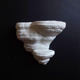 Gazzaladra Unique Wall shelf Interior Decor Fomentarius Fungus for Party, Living Room, Bedroom - LV3DPrinting