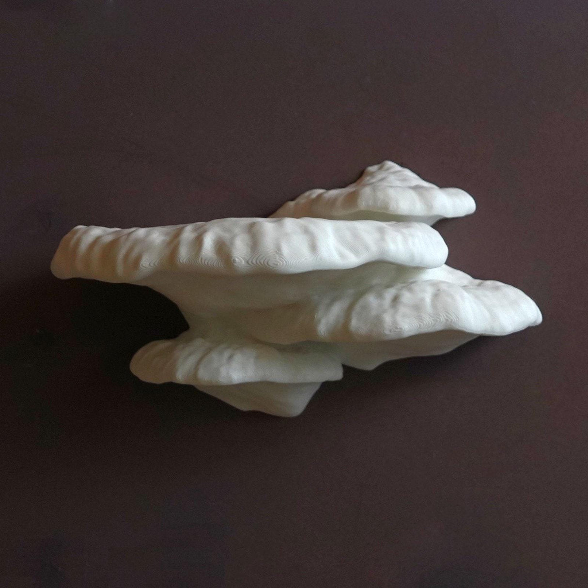 Gazzaladra Unique Wall Shelf Pinicula for Party, Living Room, Bedroom - LV3DPrinting