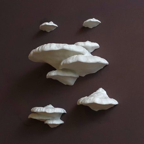 Gazzaladra Unique Wall Shelf Pinicula for Party, Living Room, Bedroom - LV3DPrinting