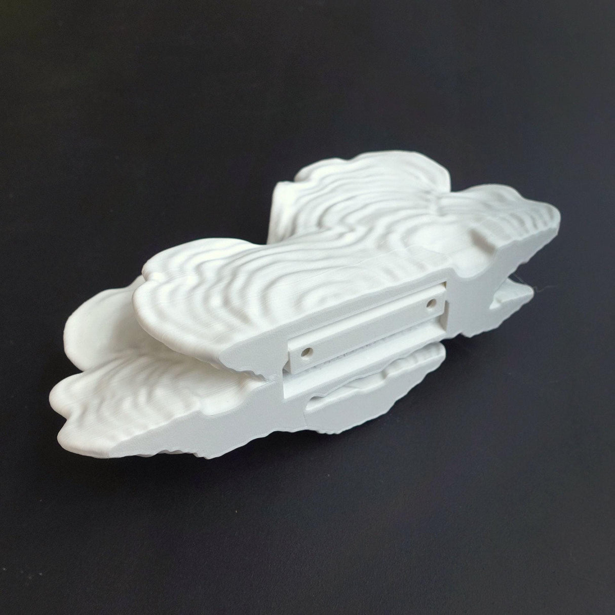 Gazzaladra Unique Wall shelf Interior Decor “Ostrea Fungus” for Party, Living Room, Bedroom - LV3DPrinting