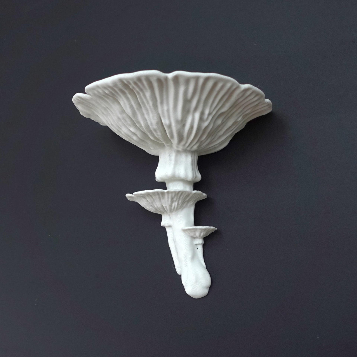Gazzaladra Unique Wall shelf Interior Decor “Amanita Fungus” for Party, Living Room, Bedroom