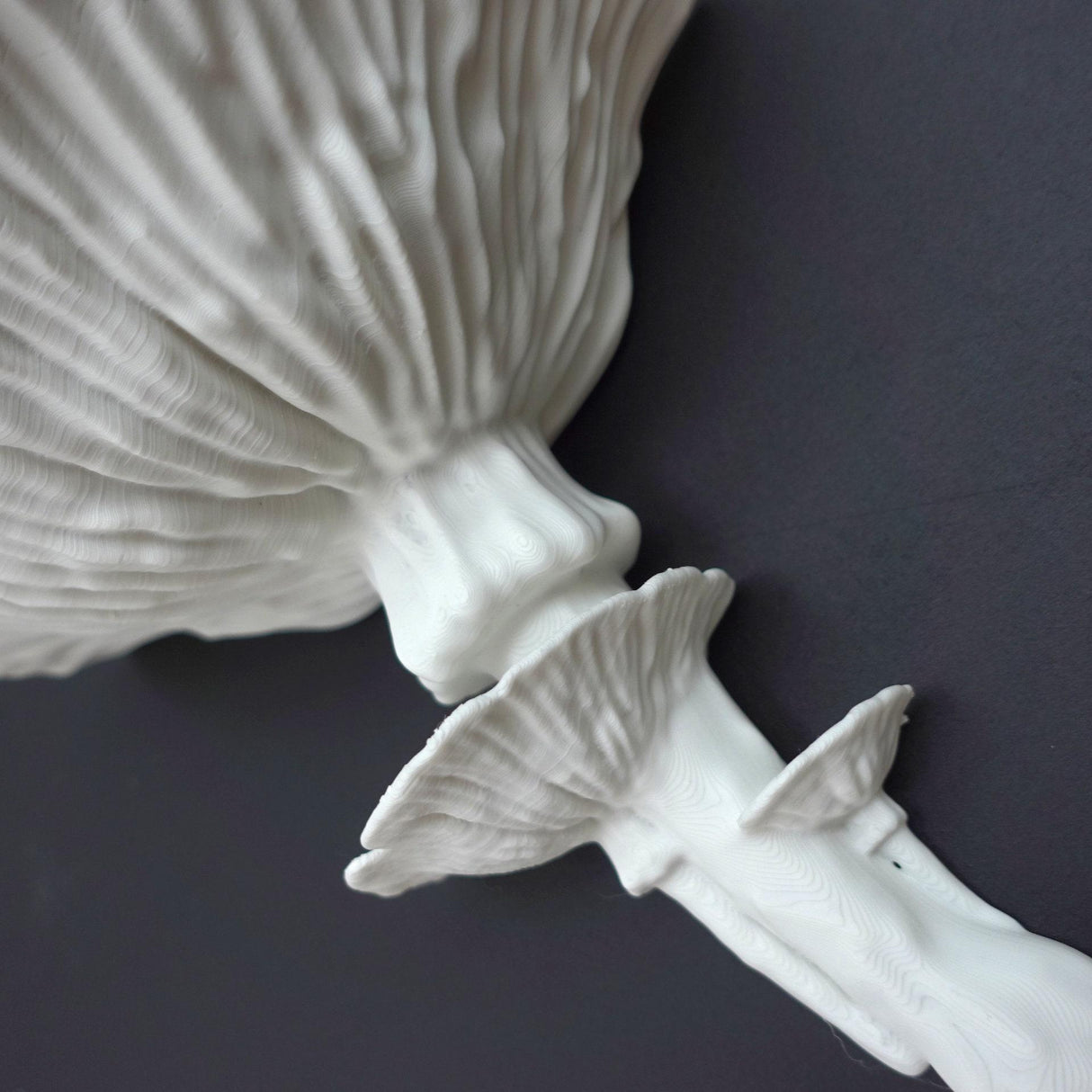 Gazzaladra Unique Wall shelf Interior Decor “Amanita Fungus” for Party, Living Room, Bedroom