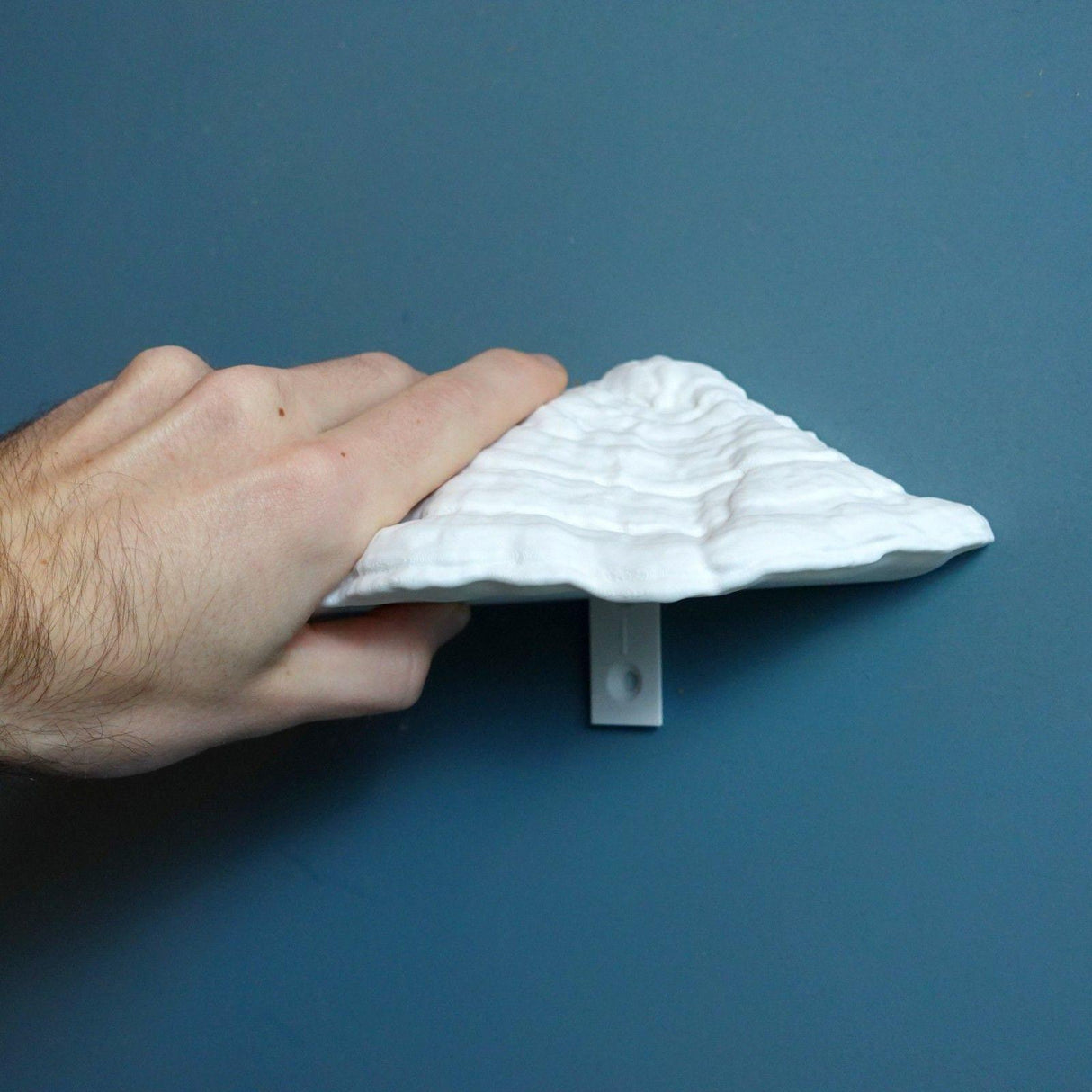 Gazzaladra Carnosum Fungus Magnetic Key Holder for Party, Living Room, Bedroom - LV3DPrinting