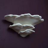 Gazzaladra Wall Shelf Gibbosa Fungus for Party, Living Room, Bedroom - LV3DPrinting