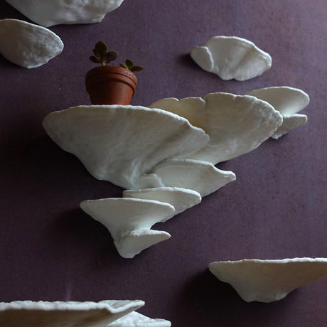 Gazzaladra Mushroom Shelf Trametes Pubescens - LV3DPrinting