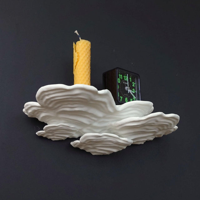 Gazzaladra Unique Wall shelf Interior Decor “Ostrea Fungus” for Party, Living Room, Bedroom - LV3DPrinting