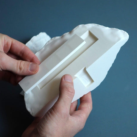 Gazzaladra Carnosum Fungus Magnetic Key Holder for Party, Living Room, Bedroom - LV3DPrinting