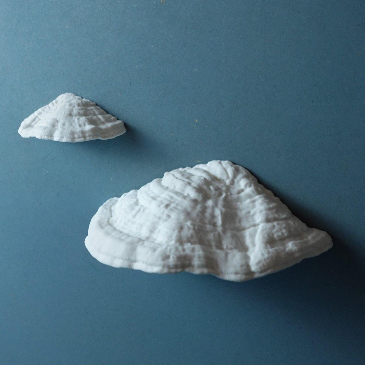 Gazzaladra Carnosum Fungus Magnetic Key Holder for Party, Living Room, Bedroom - LV3DPrinting