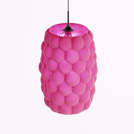 Kowafat Company Grape Lamp Shades, Dinner Table, Party, Living Room, Bedroom - LV3DPrinting