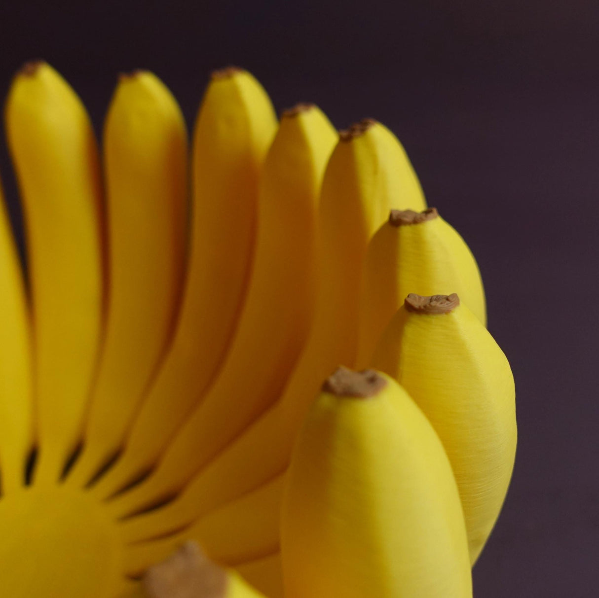 Gazzaladra Banana Bowl l Decor | Tableware | Decorative Bowl | Fruit Bowl