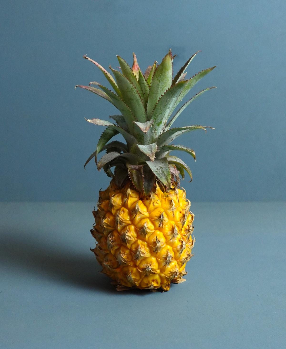 Gazzaladra Pineapple Coasters | Housewarming Gift | Custom! | Mutliple Colors! | Personalized! - LV3DPrinting