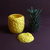 Gazzaladra Sliced Pineapple | Jewlery Box | Desk Organizer | Candy Storage | Custom! | Mutliple Colors! | Personalized! - LV3DPrinting