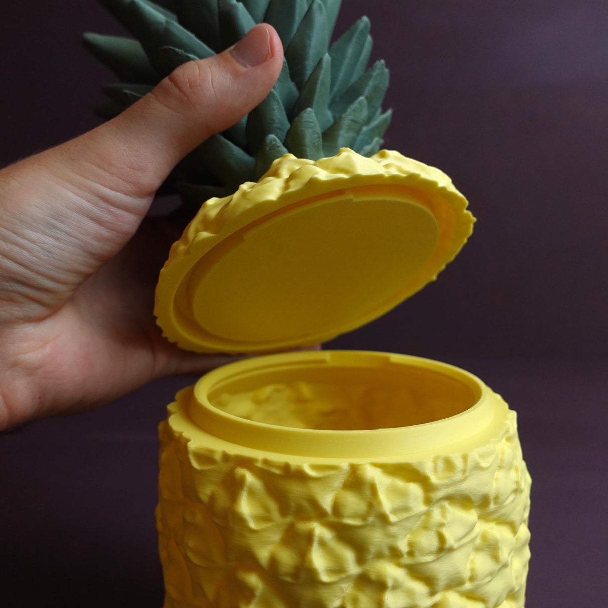 Gazzaladra Sliced Pineapple | Jewlery Box | Desk Organizer | Candy Storage | Custom! | Mutliple Colors! | Personalized! - LV3DPrinting
