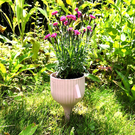 Gazzaladra Elevated Pot & Garden Planter Decor for Dinner Table, Party, Living Room, Bedroom - LV3DPrinting