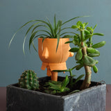 Gazzaladra Elevated Pot & Garden Planter Decor for Dinner Table, Party, Living Room, Bedroom - LV3DPrinting