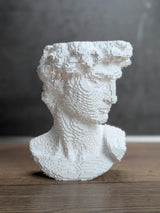 CollectiCraft Pixel David Vase, Modern Classical Sculpture Vase, Artistic Statue Flower Vase Decor - LV3DPrinting