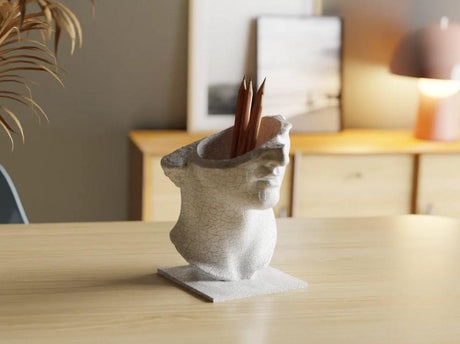 CollectiCraft Venus Elegance Sculptural Vase, Classical Goddess Bust Vase, Artistic Modern Home Decor - LV3DPrinting