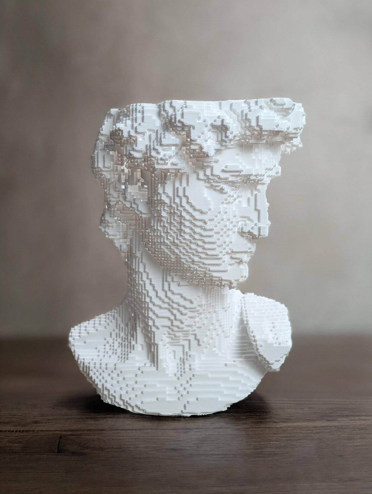 CollectiCraft Pixel David Vase, Modern Classical Sculpture Vase, Artistic Statue Flower Vase Decor - LV3DPrinting