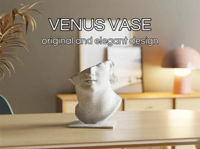 CollectiCraft Venus Elegance Sculptural Vase, Classical Goddess Bust Vase, Artistic Modern Home Decor - LV3DPrinting