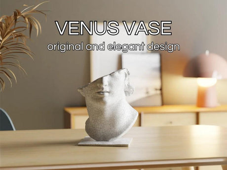 CollectiCraft Venus Elegance Sculptural Vase, Classical Goddess Bust Vase, Artistic Modern Home Decor - LV3DPrinting