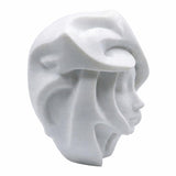 LV 3D Medusa Vase | Modern Classical Sculpture Flower Vase | Artistic Statue Planter | Mythology Home Decor | Custom Sizes Available - LV3DPrinting