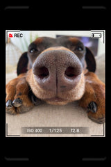 LV 3D Custom Pet Head Vase | Personalized Dog or Cat Planter | 3D Printed Pet Decor | Fun Animal Gift | Home Decor - LV3DPrinting